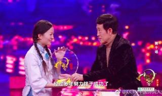 中国成语大会总决赛 2015成语大会总决赛冠军是谁